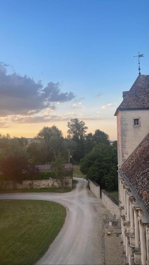Chateau De La Berchere Нюи-Сен-Жорж Экстерьер фото